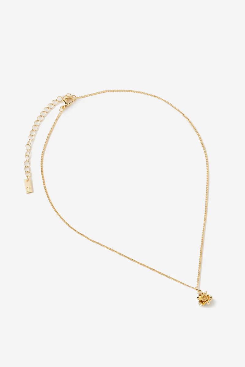 روبي Pendant Necklace